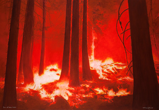 Foc al bosc, 2020