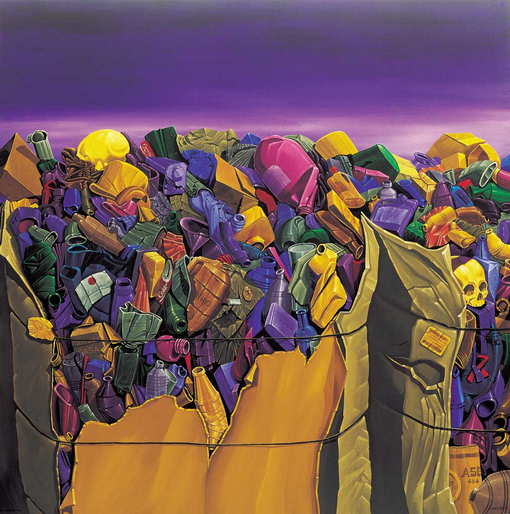 Parc natural, 1993